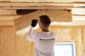 Best Eco-Friendly or Green Insulation Solutions  in Hargill, TX